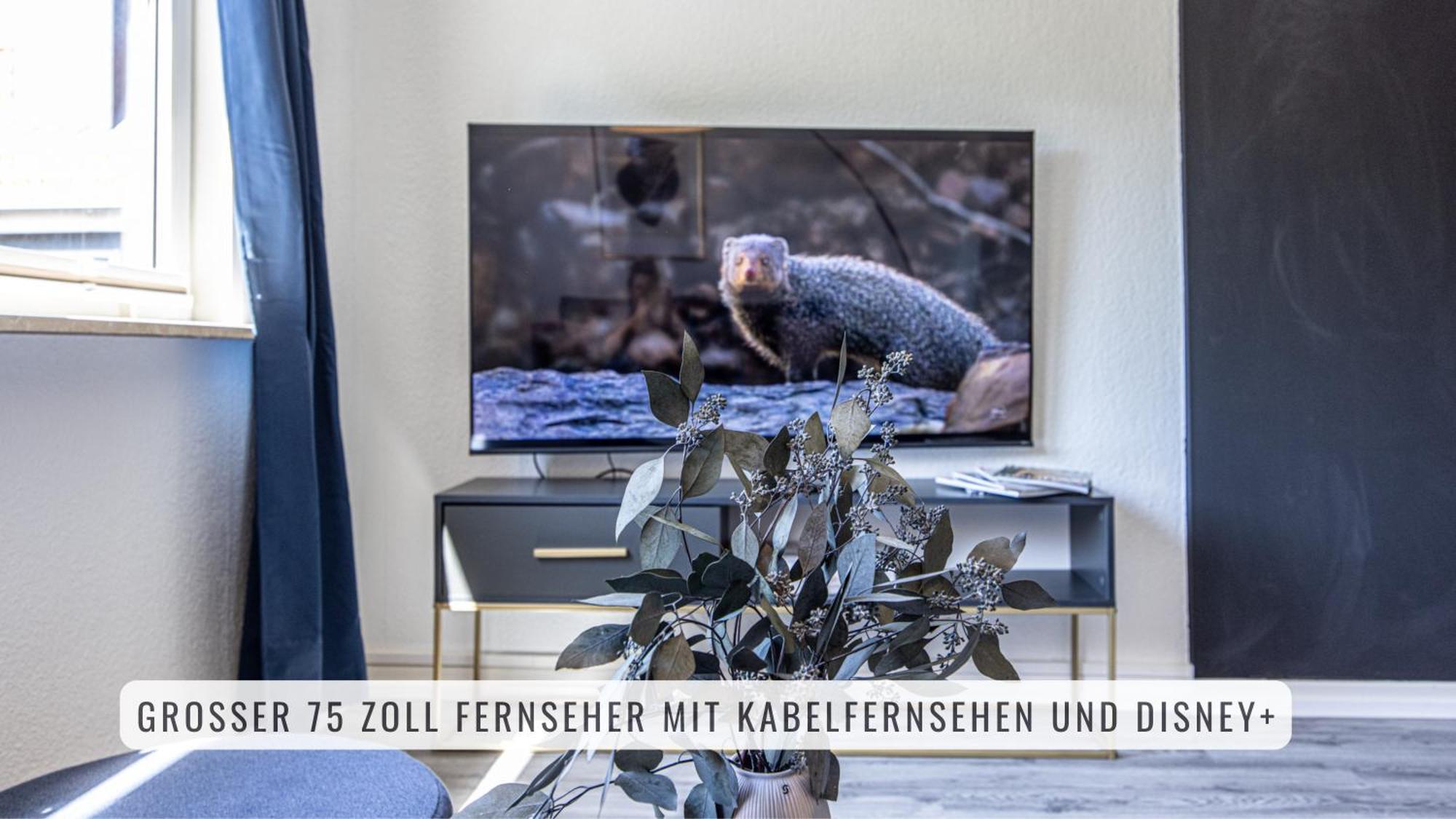 Have-A-Nice-Stay - Nahe Der U-Bahn Nach Hamburg - Natur 1 Minute Entfernt - Baecker & Restaurants 500M - Lidl 800M - Zentrum 1,5Km 阿伦斯堡 外观 照片